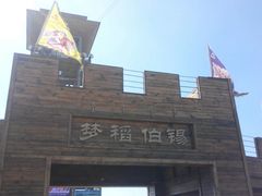 -稻梦空间