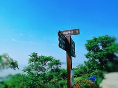 -巢湖姥山岛