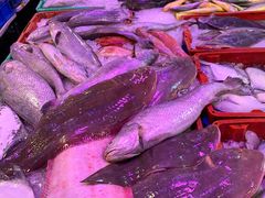 -芦潮港集贸市场