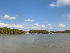 -上海海湾国家森林公园