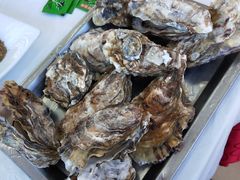 -渔民船说·北塘海鲜·天津菜·海肠捞饭(北塘古镇店)