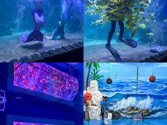 -左海海底世界