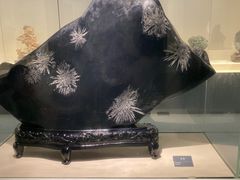 -安徽省地质博物馆