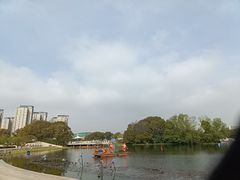 -新江湾城公园