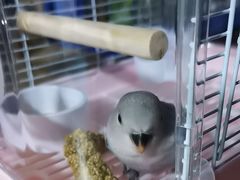 -派联宠物医院·24h·CT·异宠