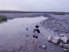 -南汇嘴观海公园