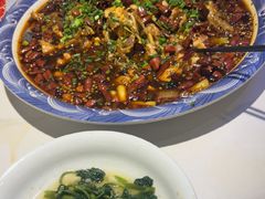 -新概念来凤鱼(璧山店)