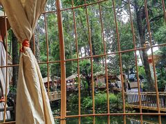 -二荆条·蜀鲜汇城市森林火锅