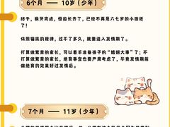 -申普宠物医院·心脏介入·心血管微创(总院)