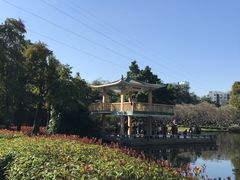 -晓港公园