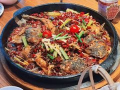 -老板恋上鱼(恒隆广场店)