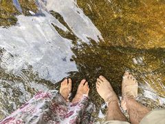 -内乡宝天曼生态旅游区