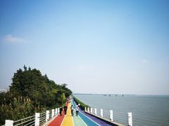 -贡湖湾湿地公园