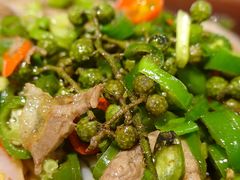 东坡藤椒肥牛-眉州东坡(民族园店)