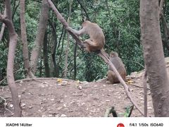 -黔灵山公园