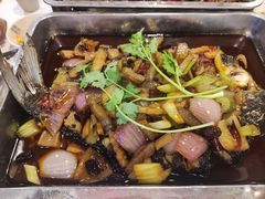-沈姐万州烤鱼(沙坪坝七中店)