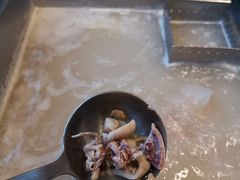 海鲜汤锅-野妹经典火锅(民治店)