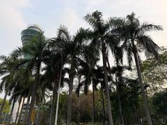 -广州白云机场雅高铂尔曼大酒店