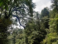 -龙苍沟森林公园