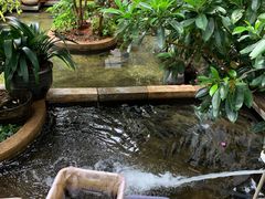 -海韵人家.海景花园经典云南菜(双廊店)