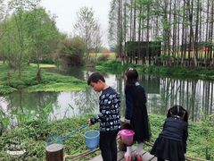 -桤木河湿地公园