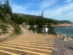 -广东惠东海龟国家级自然保护区