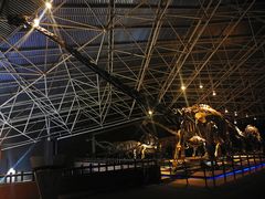 -世界恐龙谷景区