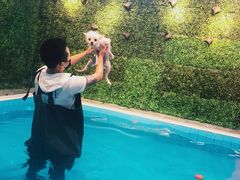 -Goku PET SHOP宠物视觉生活馆(双井店)