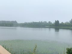 -东郊湿地公园