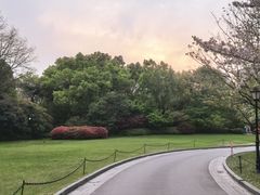 -上海瑞金洲际酒店