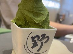 -野人先生现做冰淇淋(西安赛格店)
