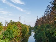 -上海长兴岛郊野公园