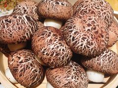 -渝半城经典川粤菜(重庆天地店)