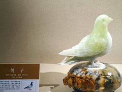 -大连自然博物馆