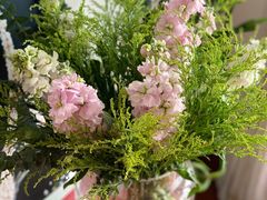 -平吉花卉市场