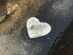 -奈雪的茶(金鹰广场店)