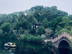 -桂湖森林公园