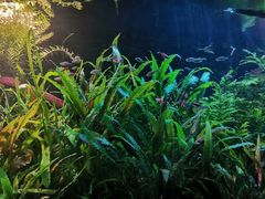 -上海海洋水族馆