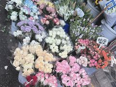 -循礼门鲜花花市(武汉循礼门店)