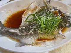 -禄源公·老莞诚饭店