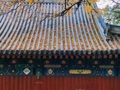 -香山公园