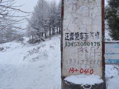 -齐岳山
