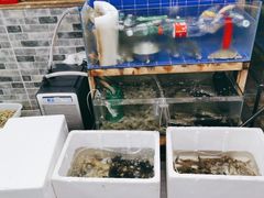 水产区-阿杰臻选海鲜饭店(普陀山店)
