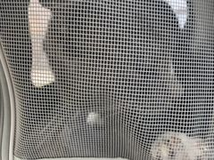 -宠颐生宠物医院·异宠猫科内科·诊疗中心宠巢店