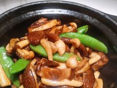 砂锅什菌煲-陶陶居酒家(海岸城店)