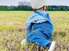 -汉长安城未央宫国家考古遗址公园