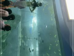 -苏州海洋馆