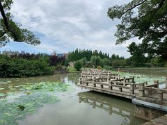 -江心屿景区