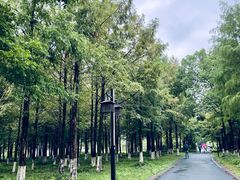 -西溪国家湿地公园