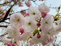 -大兴滨河森林公园